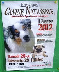 Expo canine - Exposition - 76 Dieppe