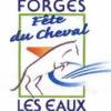 Fête du cheval - Evènement - 76 Forges les Eaux